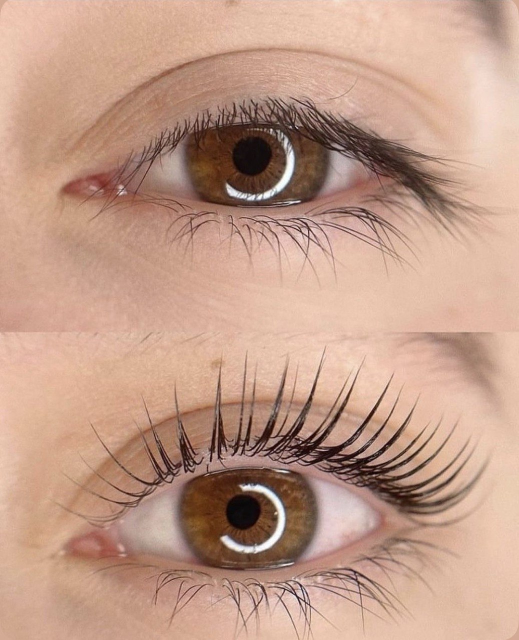 Lash & Brow Lift by Zeinora